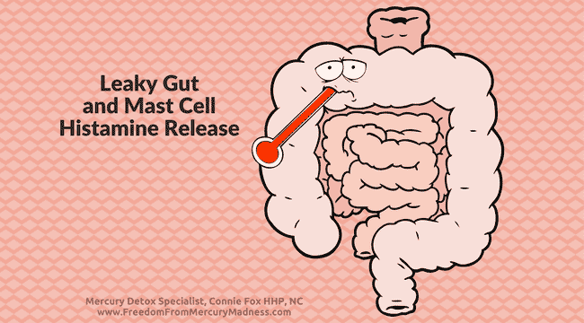 THE HIDDEN OBSTACLE TO YOUR RECOVERY FROM MERCURY POISONING: LEAKY GUT AND MAST CELL HISTAMINE RELEASE