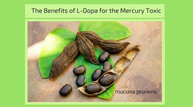 THE REMARKABLE BENEFITS OF L-DOPA FOR THE MERCURY TOXIC